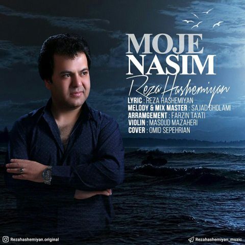اهنگ   رضا هاشمیان  موج نسیم